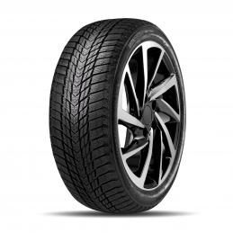 Roadstone Winguard Ice Plus 205/50R17 93T